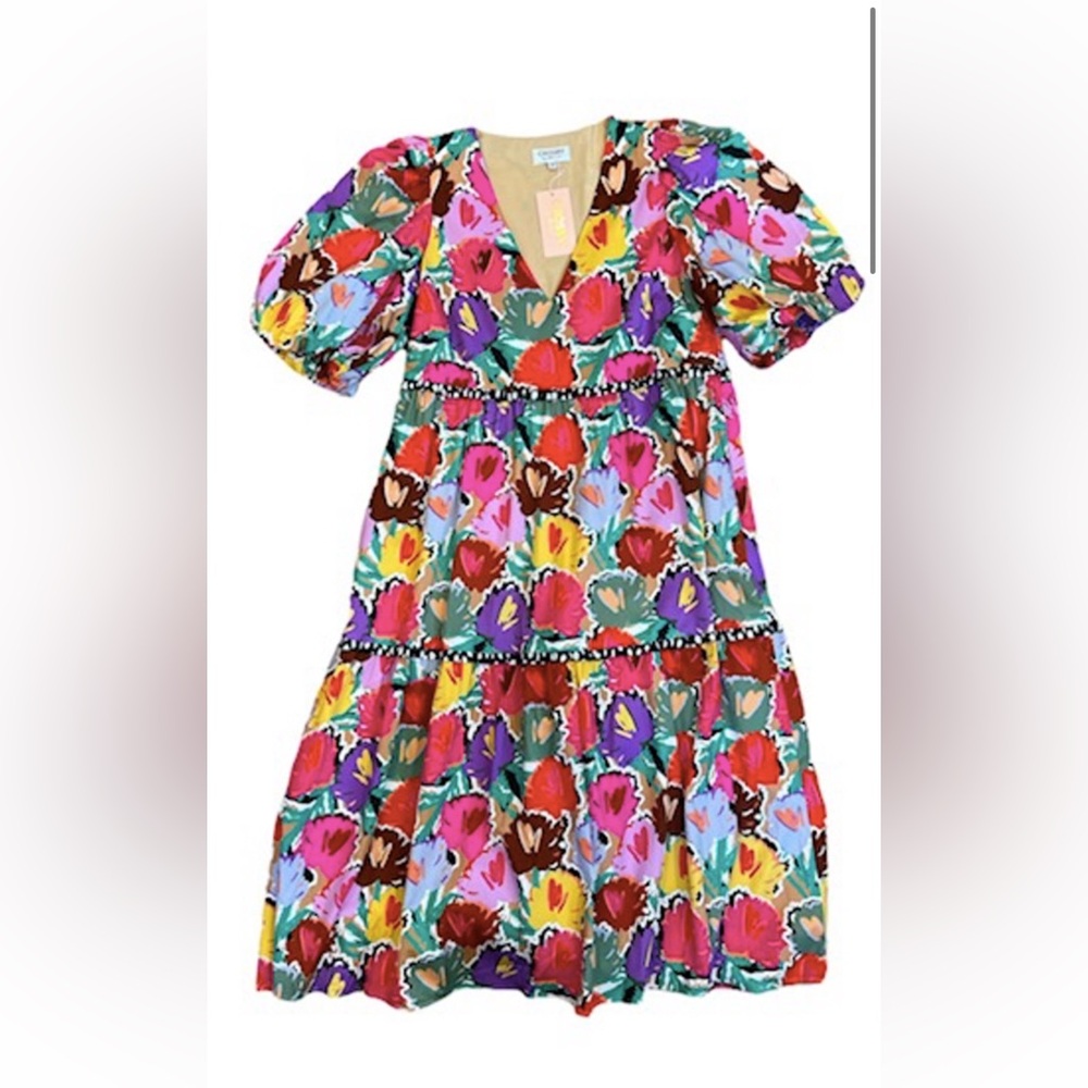 Crosby by Mollie Burch London Blooms Brawley Dress XL